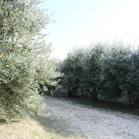 La Viola E Il Sole - Alloggi E Glamping - *