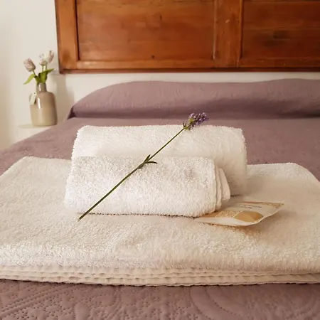 La Viola E Il Sole - Alloggi E Glamping - Appartement *