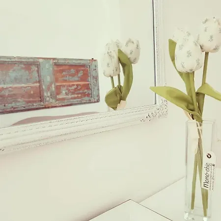 Apartment La Viola E Il Sole - Alloggi E Glamping - *