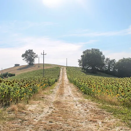 La Viola E Il Sole - Alloggi E Glamping - * Fermo