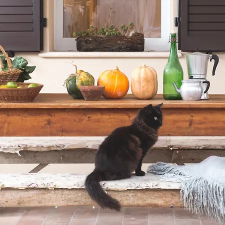 La Viola E Il Sole - Alloggi E Glamping -